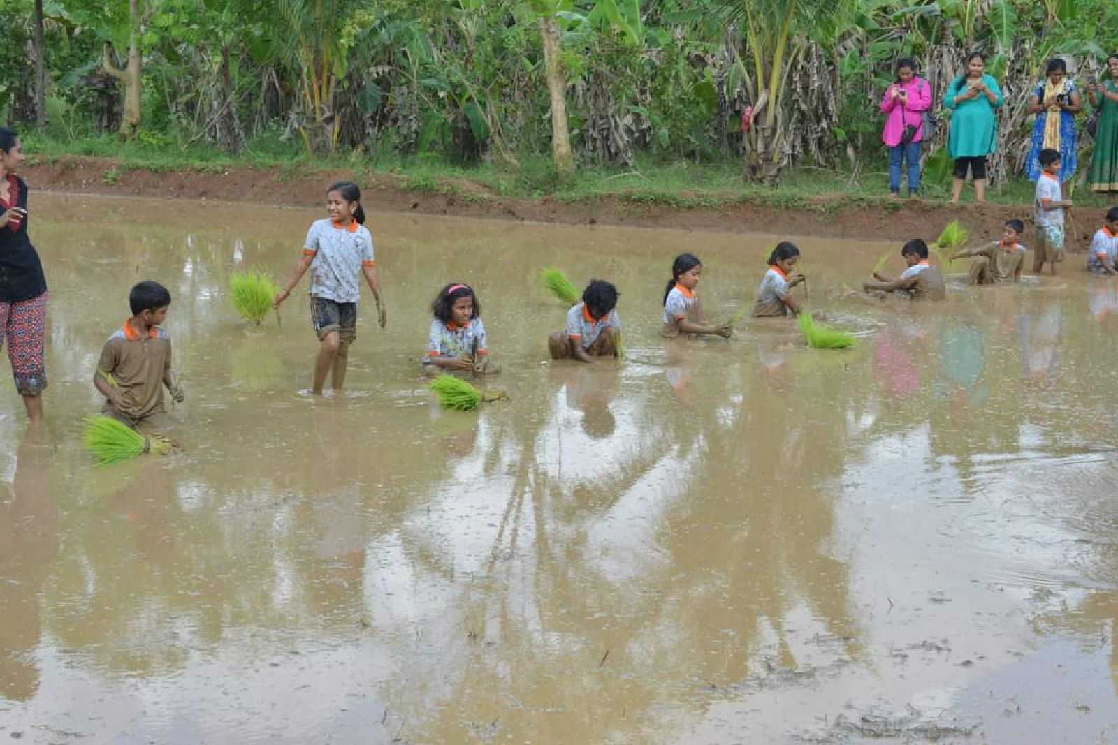 kg1 